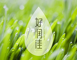 尚品優(yōu)稻，溫潤(rùn)佳享——湖南常德金利米業(yè)好潤(rùn)佳品牌策劃